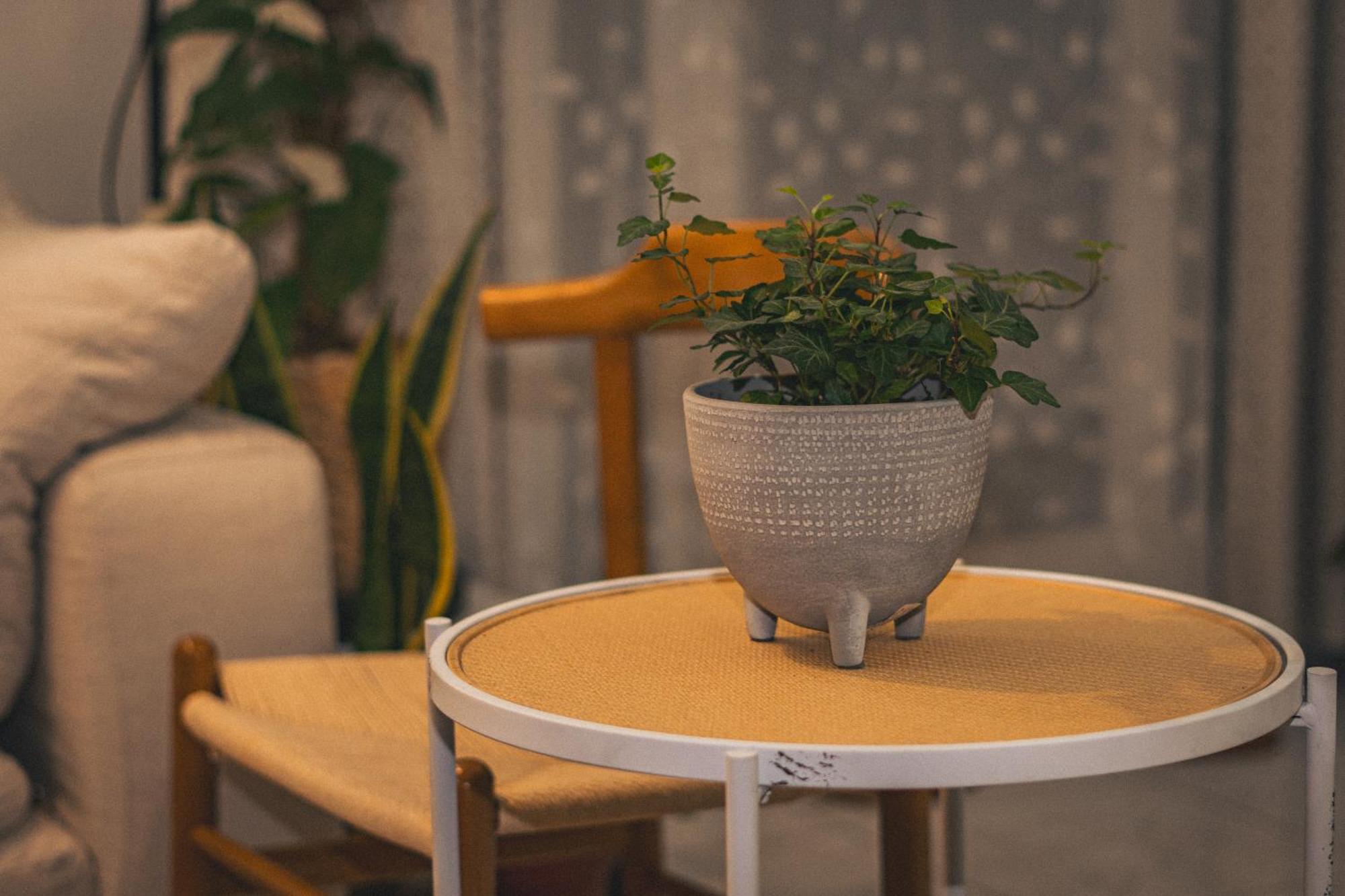 Elegant Boho Style Haven * Abu Dhabi
