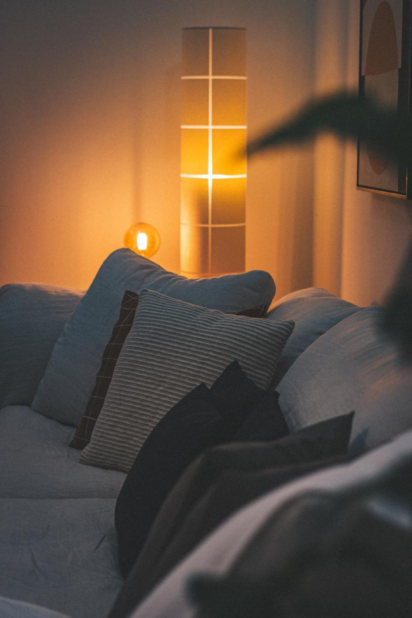 Apartment Elegant Boho Style Haven